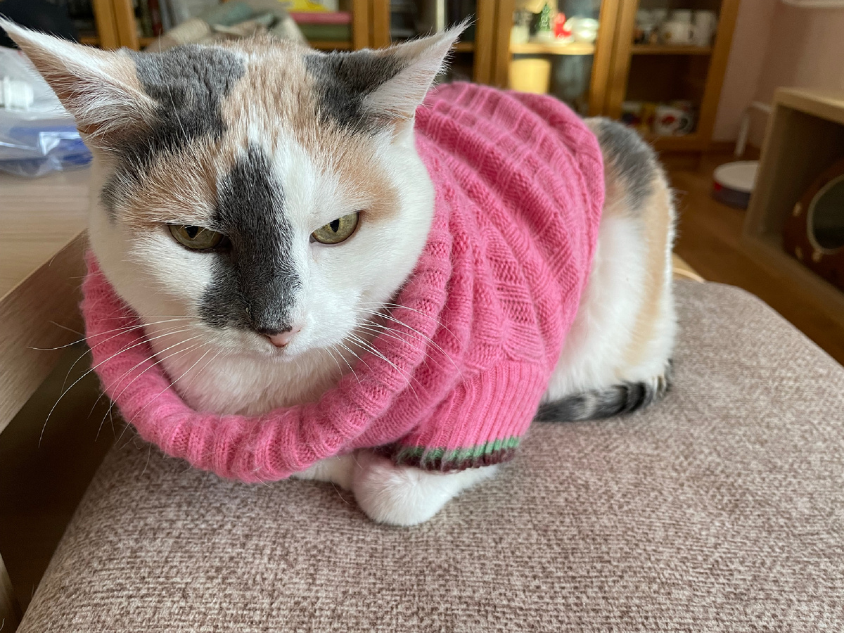 Привет от Поли