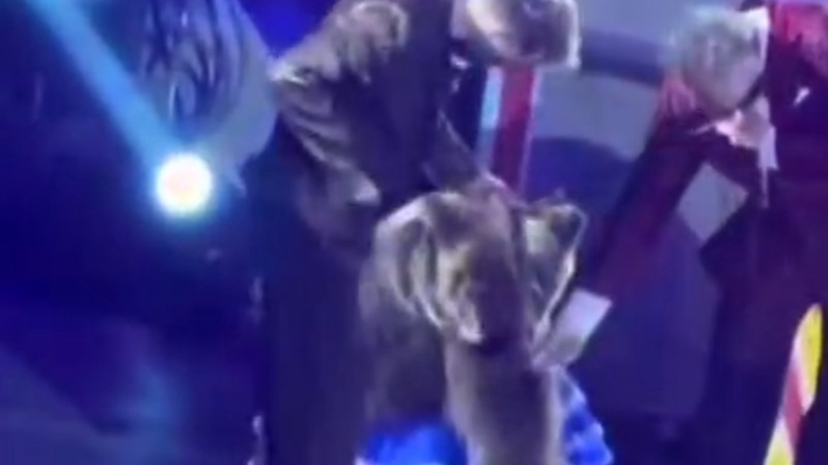    Фото: Скриншот видео Telegram / Инцидент Новокузнецк