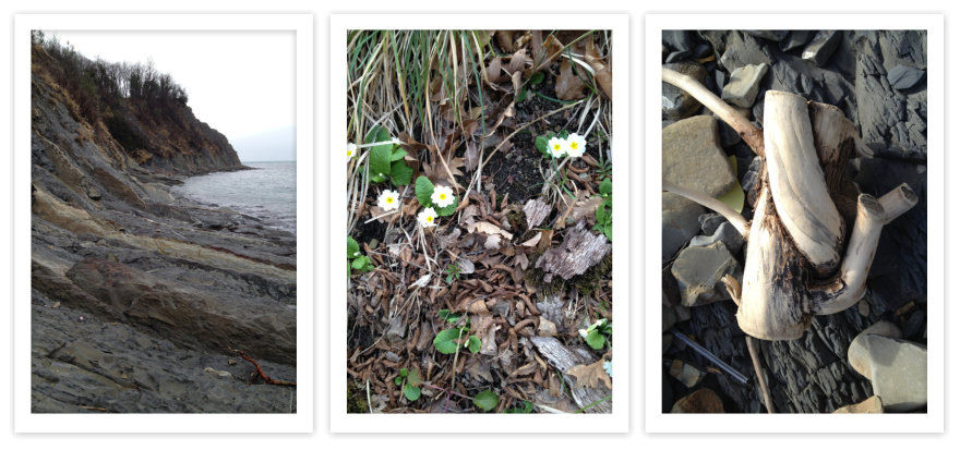 Прогулки по пустынному пляжу в Ольгинке. Замерзали, но не замерзли