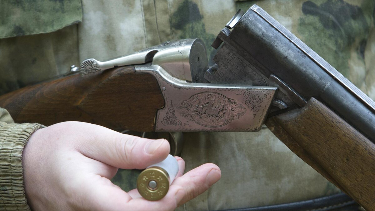 Фото: Nikolay Gyngazov/globallookpress.com