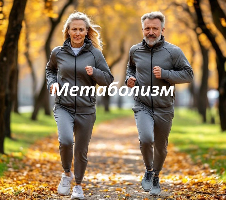 Метаболизм