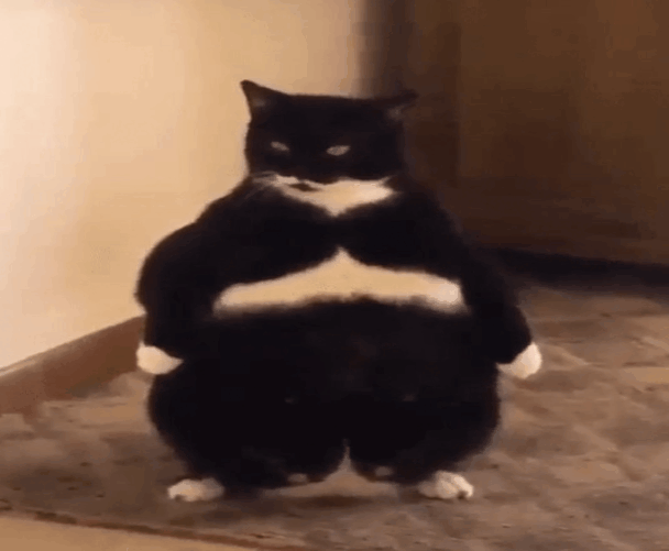 -3