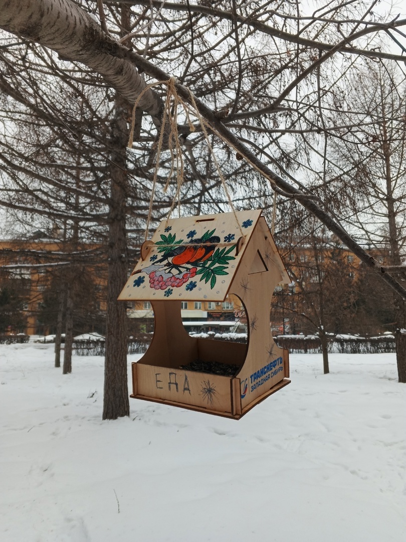 Еда. Ну чтоб птички не сомневались) Сквер 4.02.2025