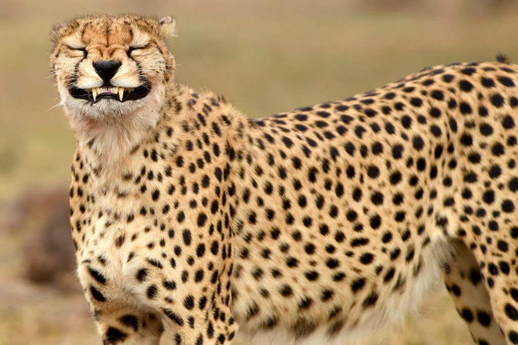 Когда услышал, как люди плачут из-за повышенной ставки по ипотеке