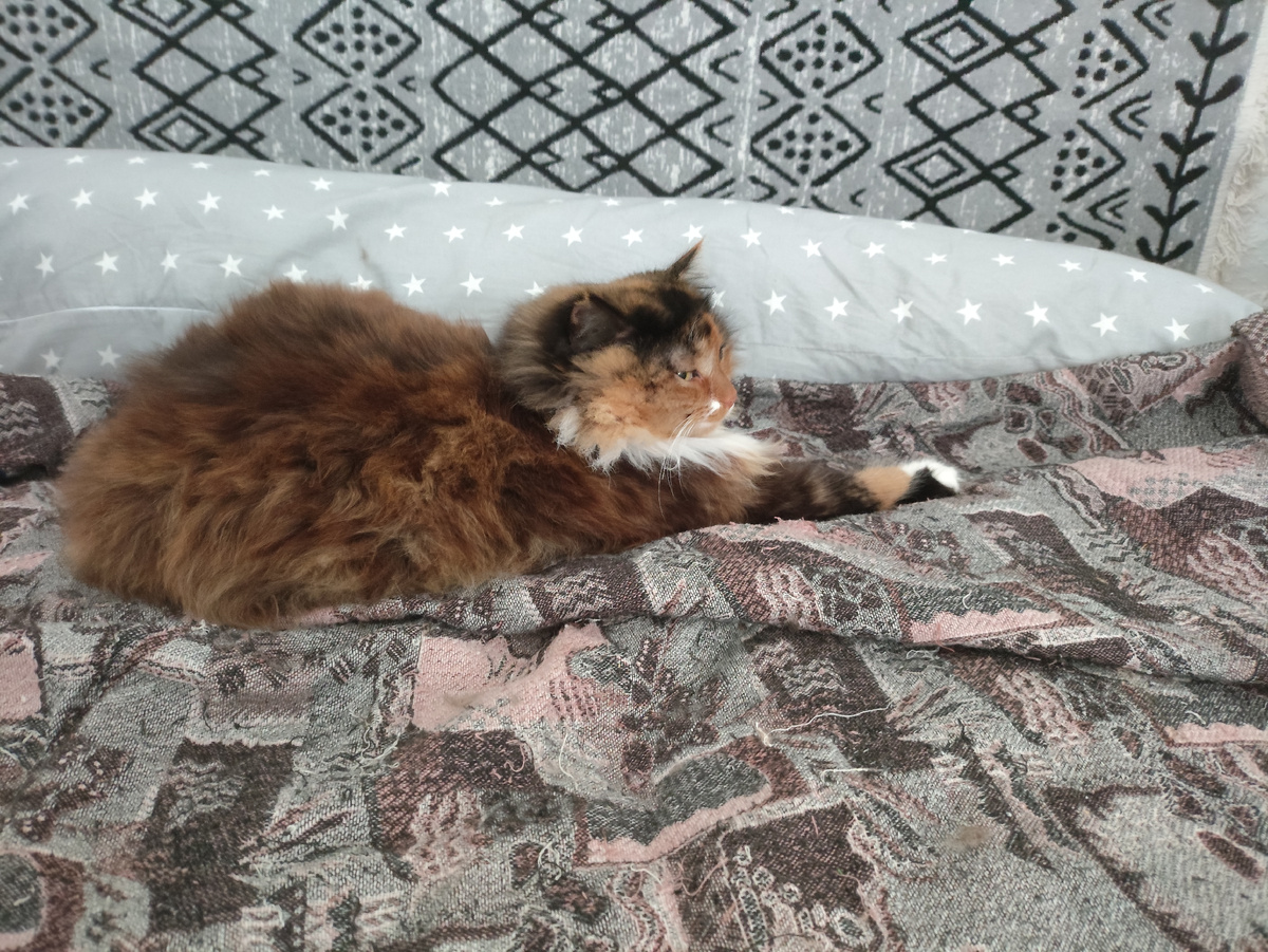 Так и спала следующие пару часов ))