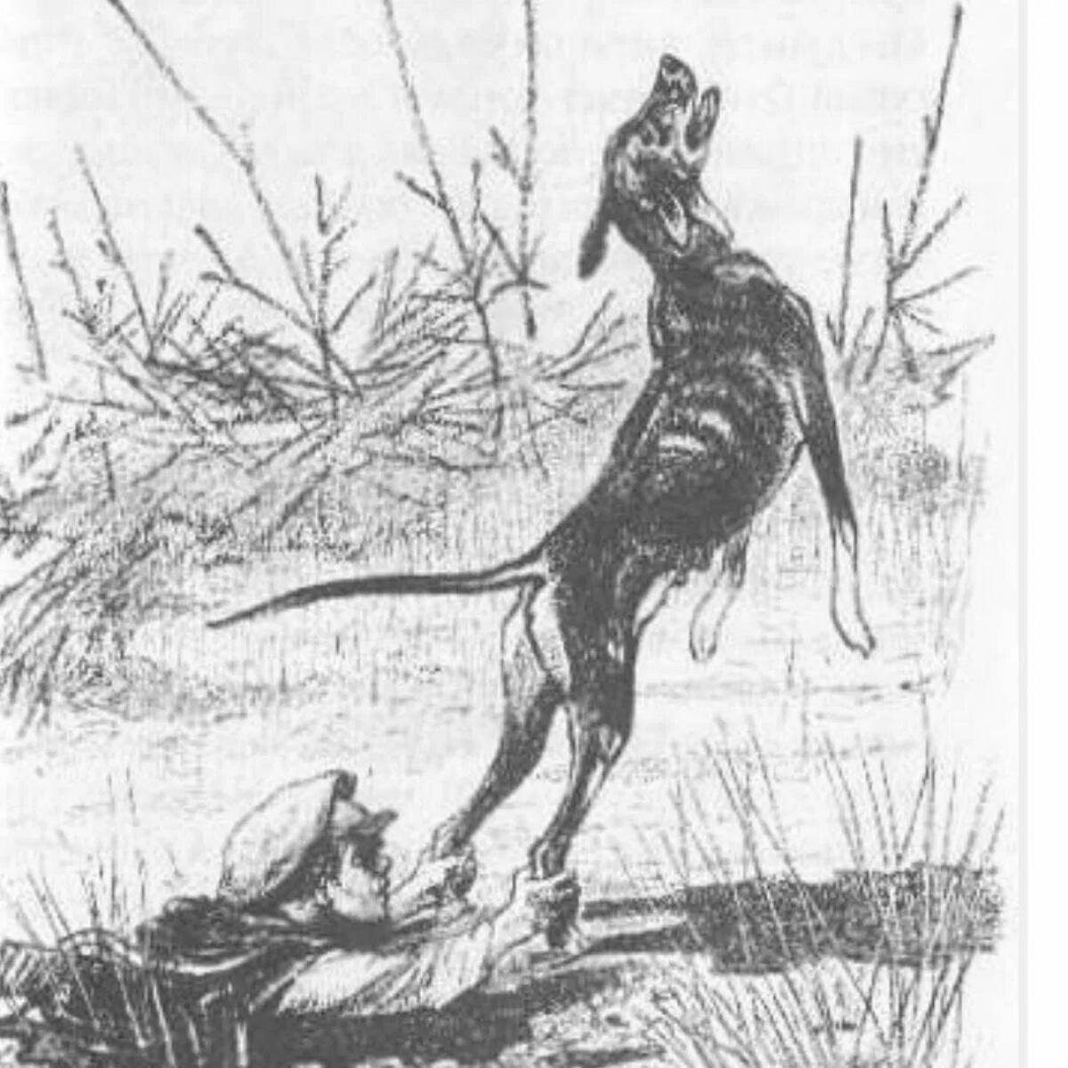 "Кладовая солнца", эта иллюстрация была в учебниках литературы. фото из открытых источников.