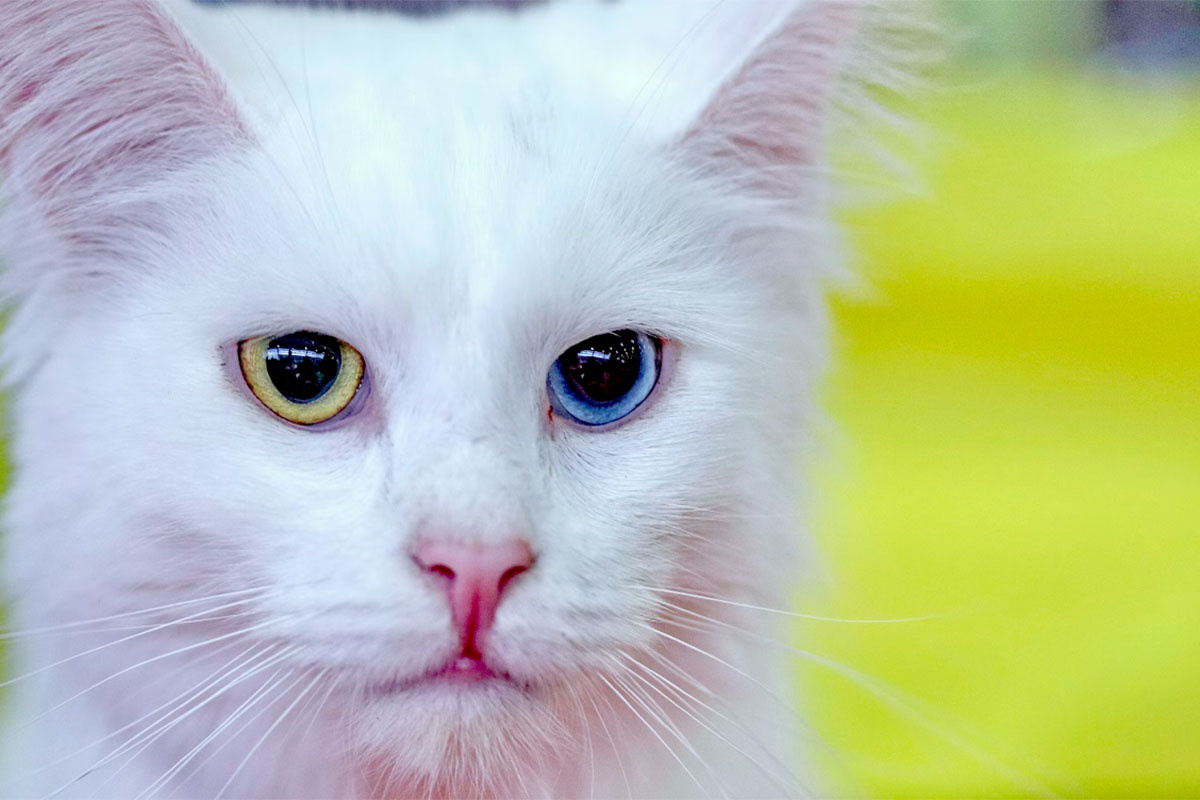 Фото unsplash.com