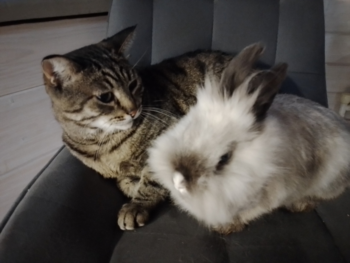 Мотя с Заей