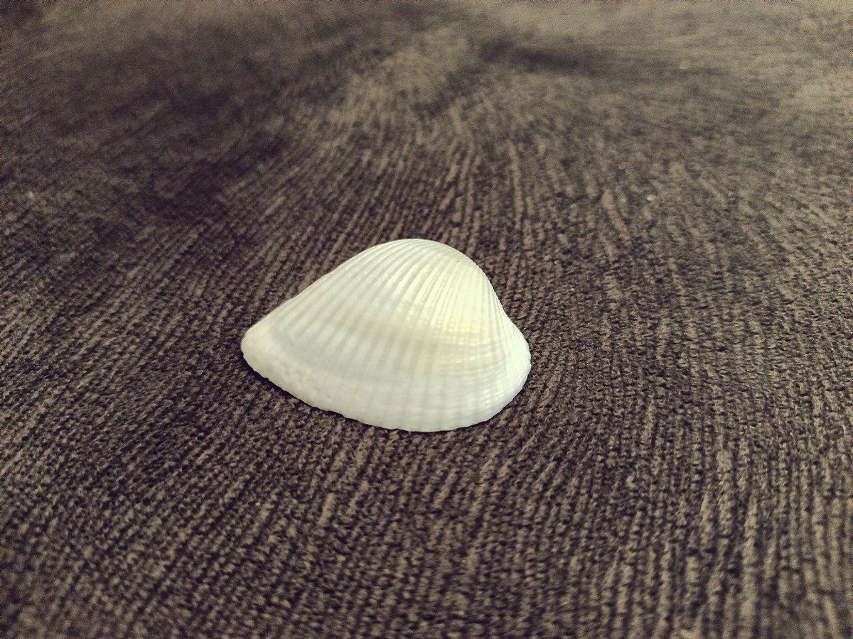 Фото автора для привлечения внимания и иллюстрации следующей мысли