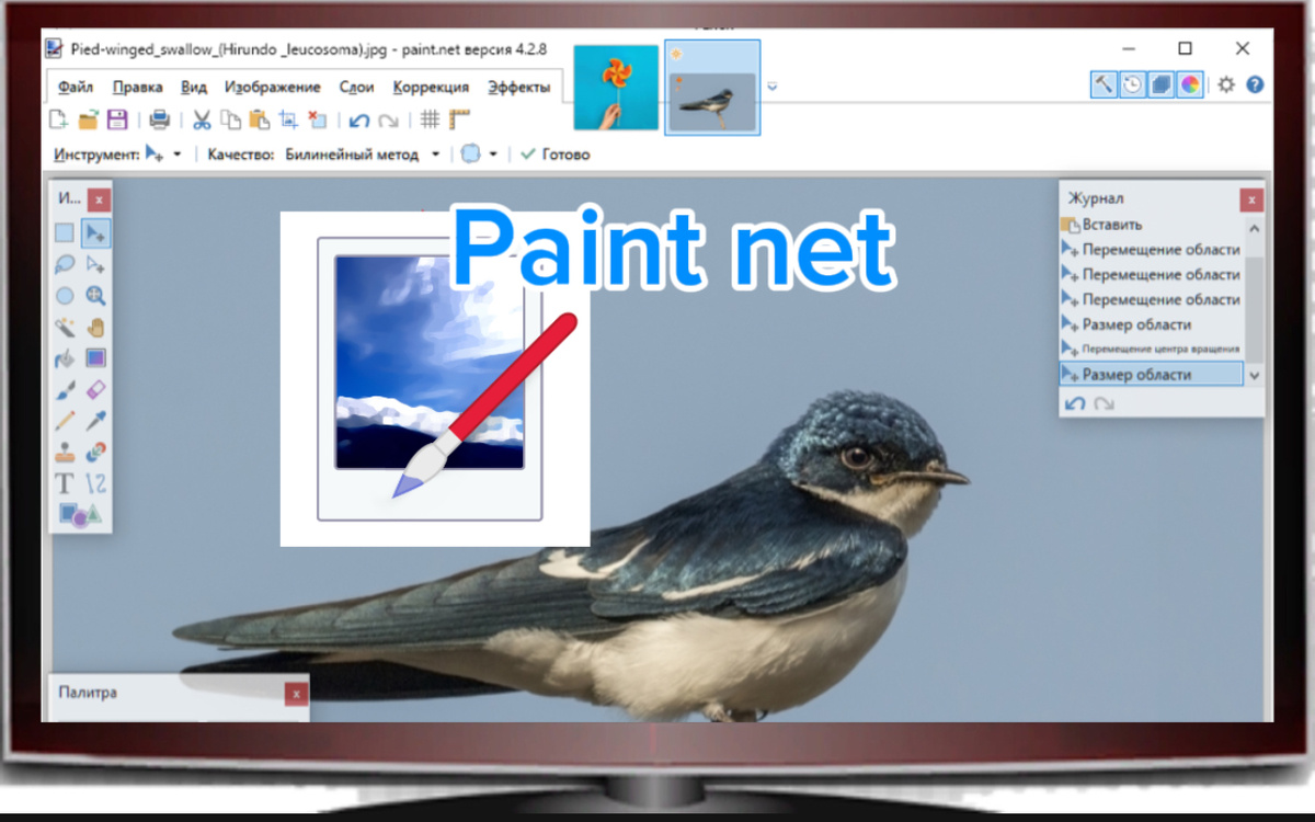 Paint NET — графический редактор больше чем Paint, но меньше чем Photoshop CC
