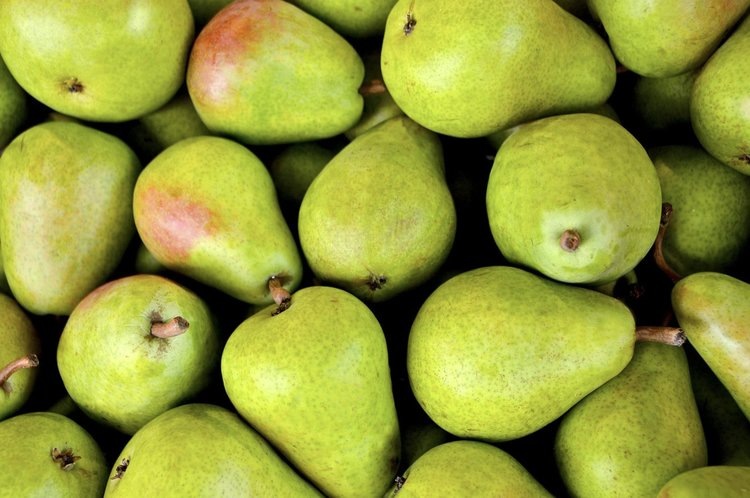    В партии груш из Китая приехал опасный вредитель