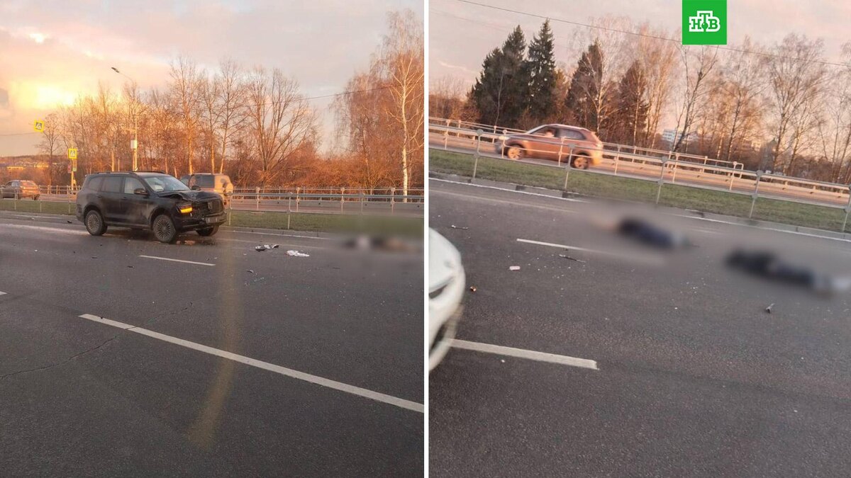    Фото: tinao_top / t.me