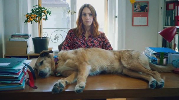 Кадр из фильма «Собачье дело»