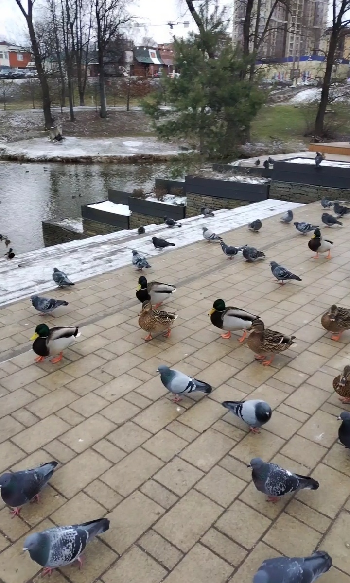 Набережная. 