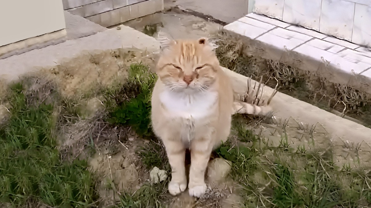    Кадр из видео на странице Юлии Бахваловой во «ВКонтакте»