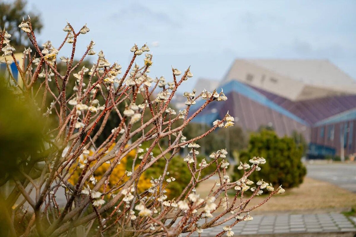    Фото: Telegram/Сириус Сегодня