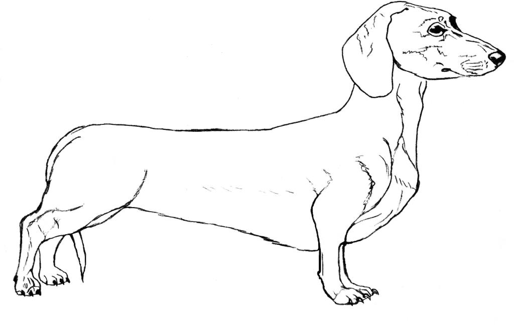 Рисунок автора