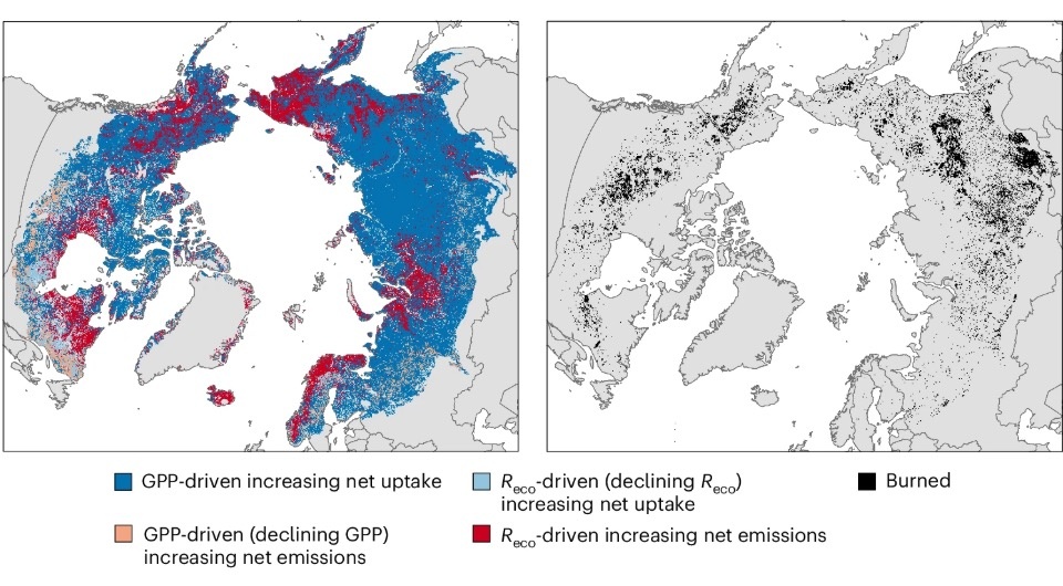   Anna-Maria Virkkala et al. / Nature Climate Change, 2025