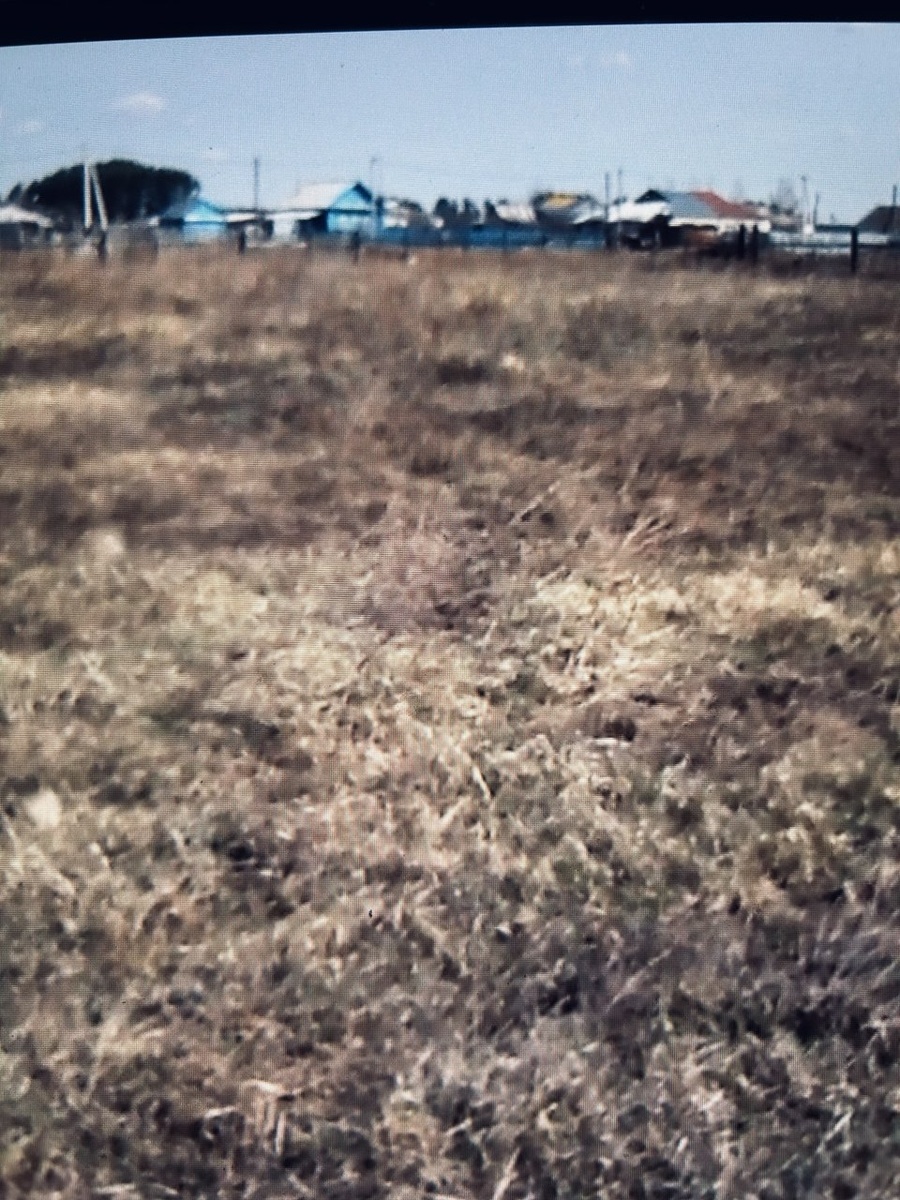 Наш новый участок. Апрель 2024 (некачественное фото переснято с другого устройства)