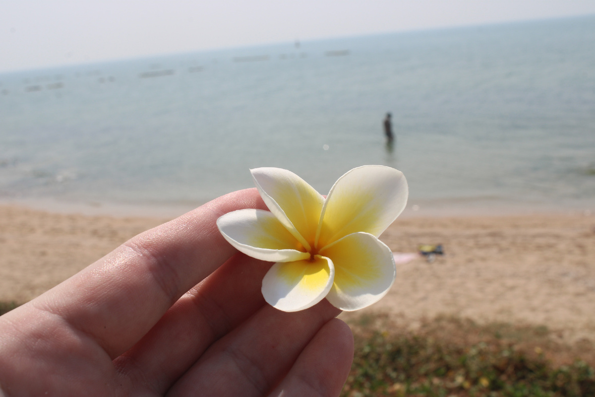 Цветок Пратамнака