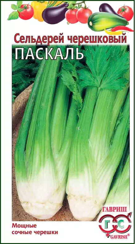 Сельдерей черешковый Паскаль