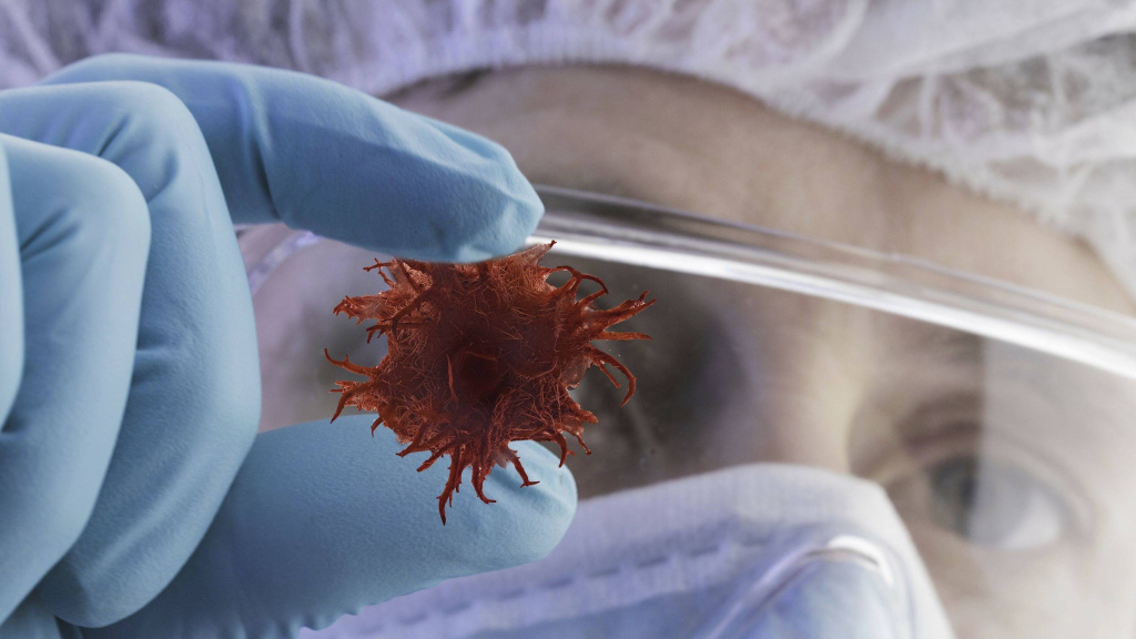 Фото: Яндекс Картинки 