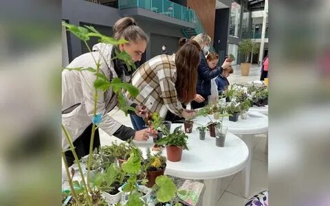 Фото с сайта https://www.samara.kp.ru/online/news/5327606/