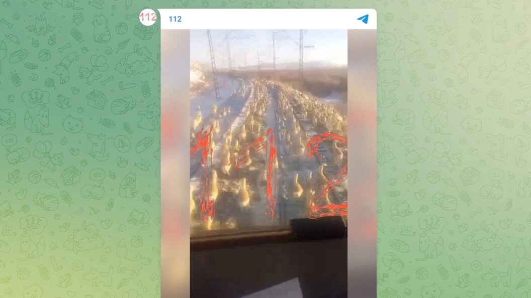    Телеграм-канал «112»