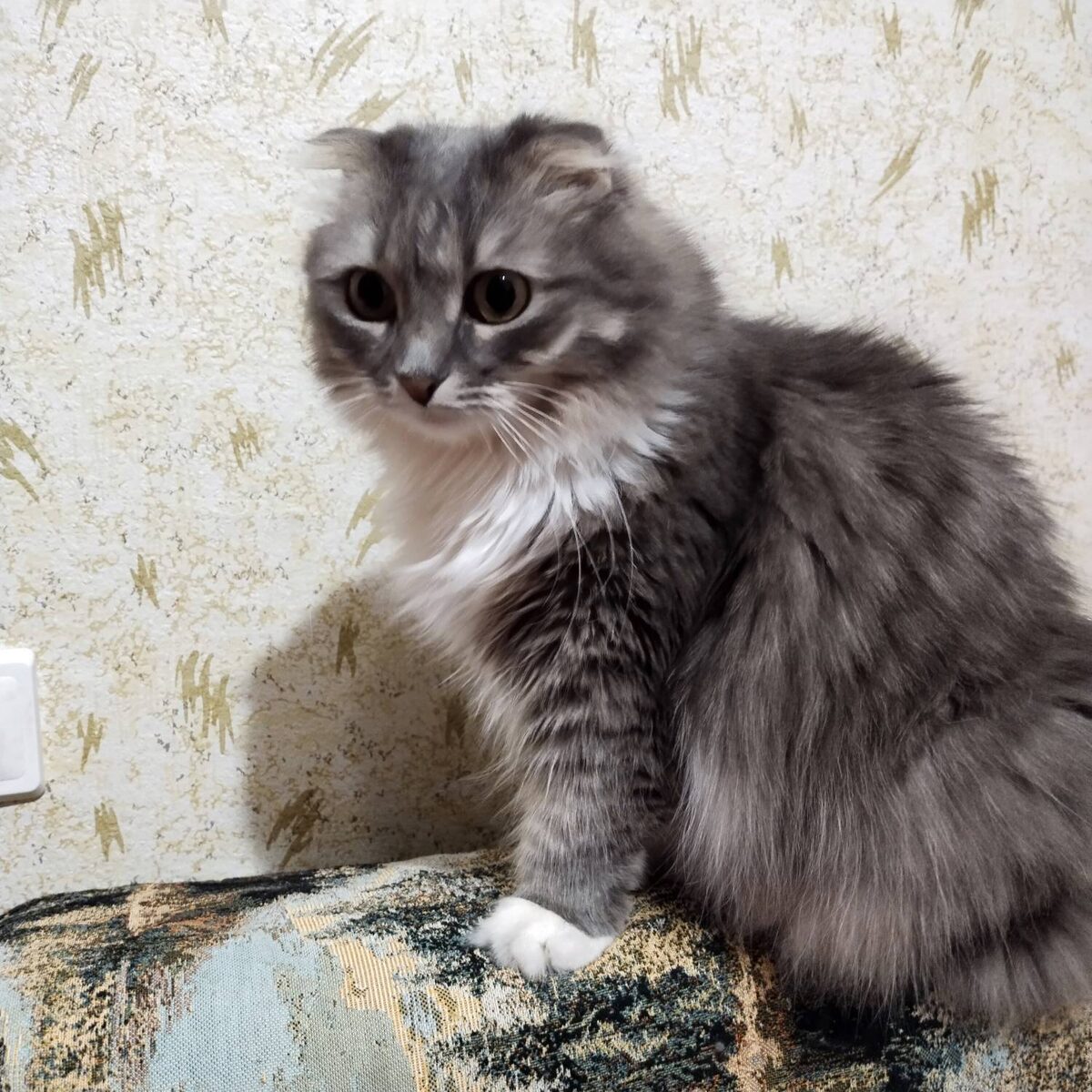 ... и торнадо