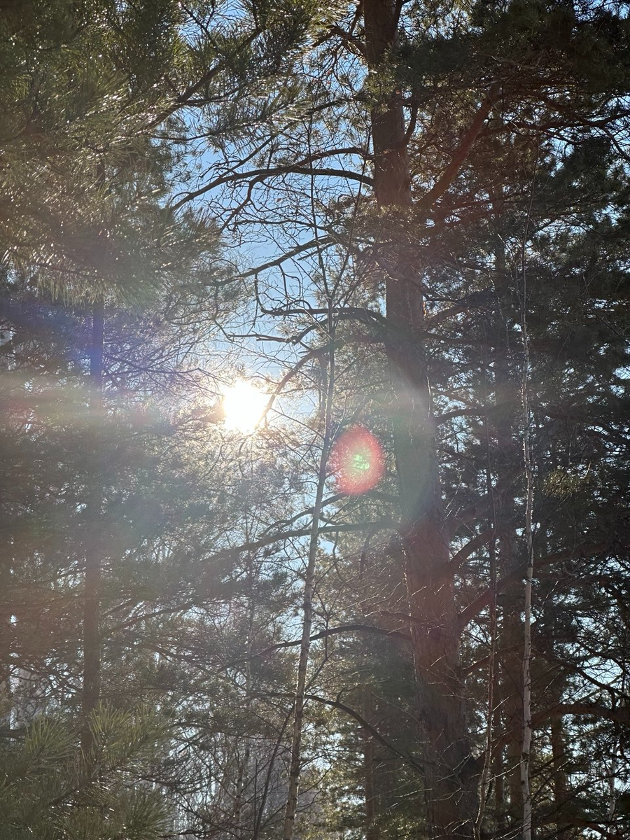 Личное, новое, свежеее