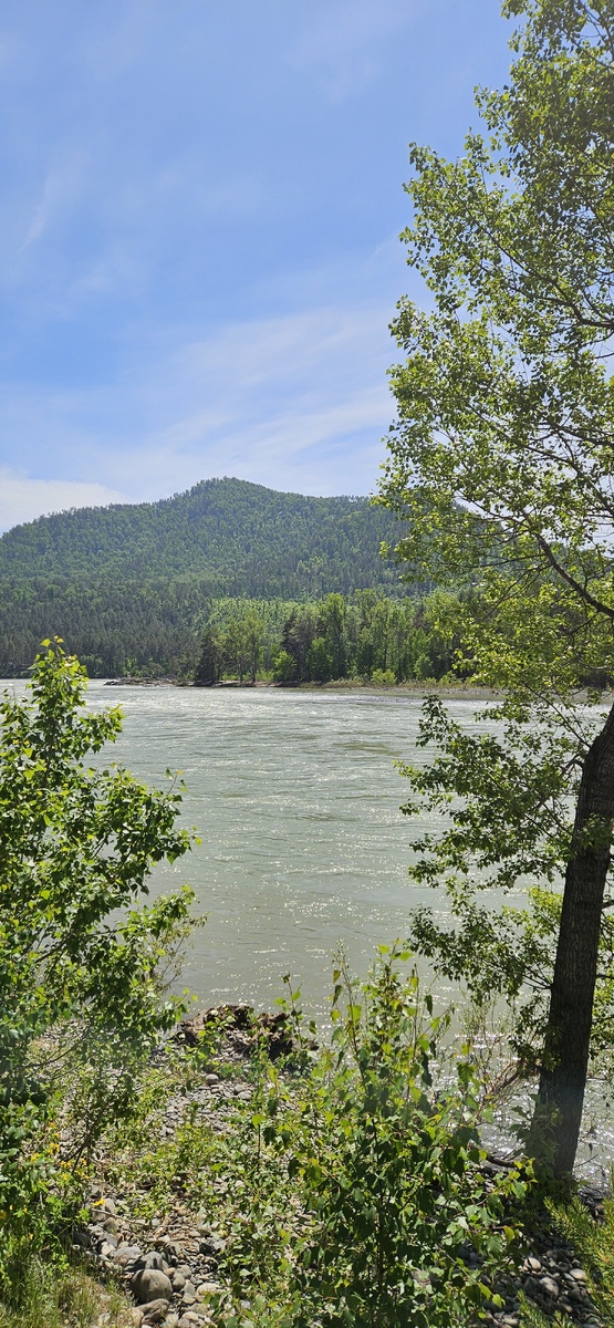 Знакомство с Катунью