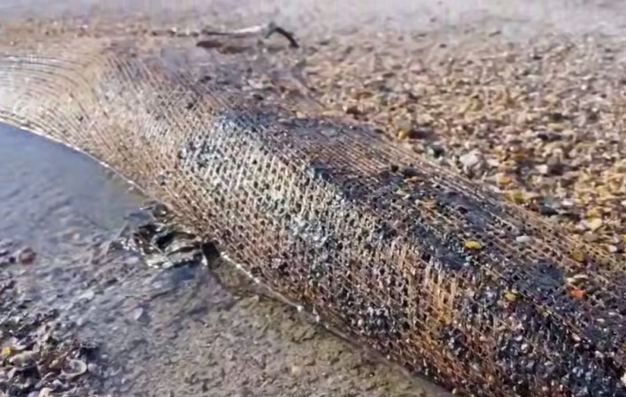    оперативный штаб Краснодарского края