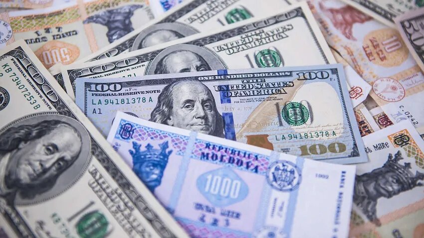 Фото: © Sputnik / Yana Zaharova