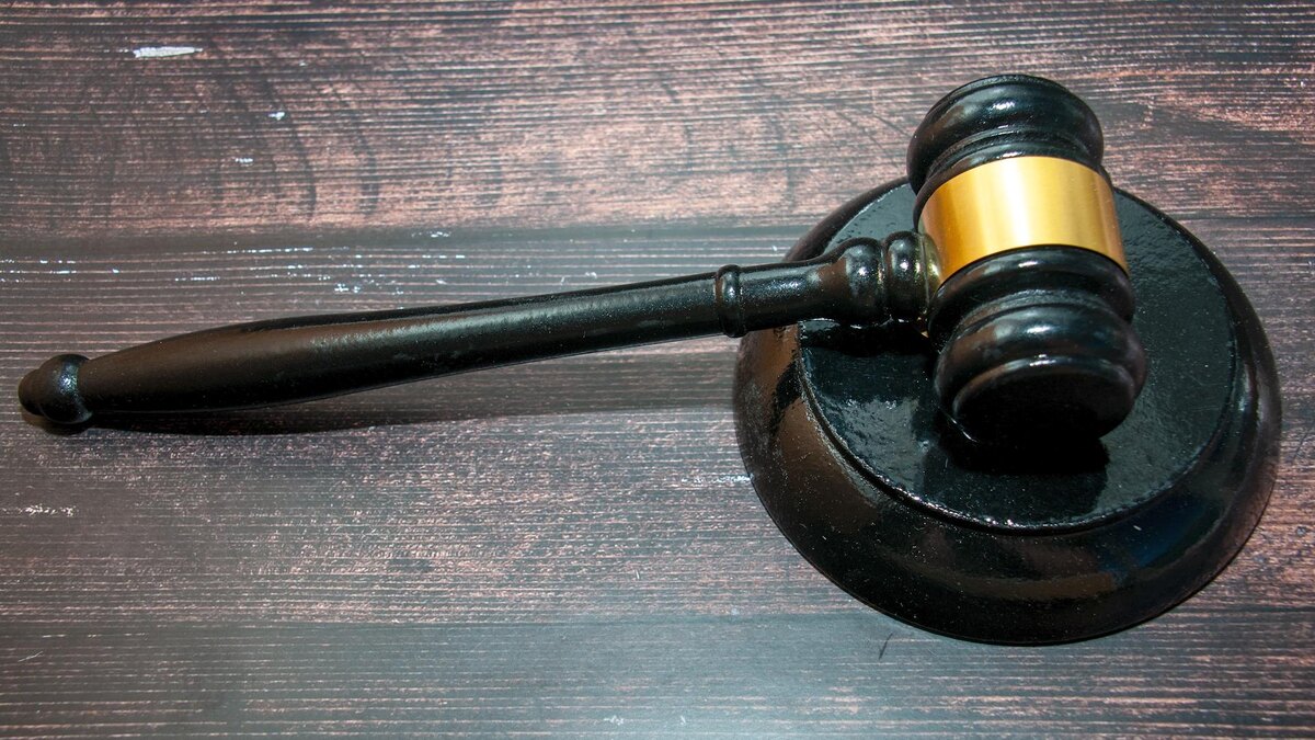    Фото: Svetlana Vozmilova/globallookpress.com