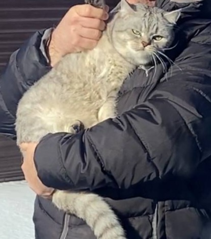 Недовольный Котька.