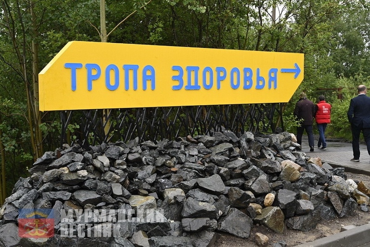Фото: «Тропа здоровья» в окрестностях Мурманска 🚶‍♀️ / взято с интернета