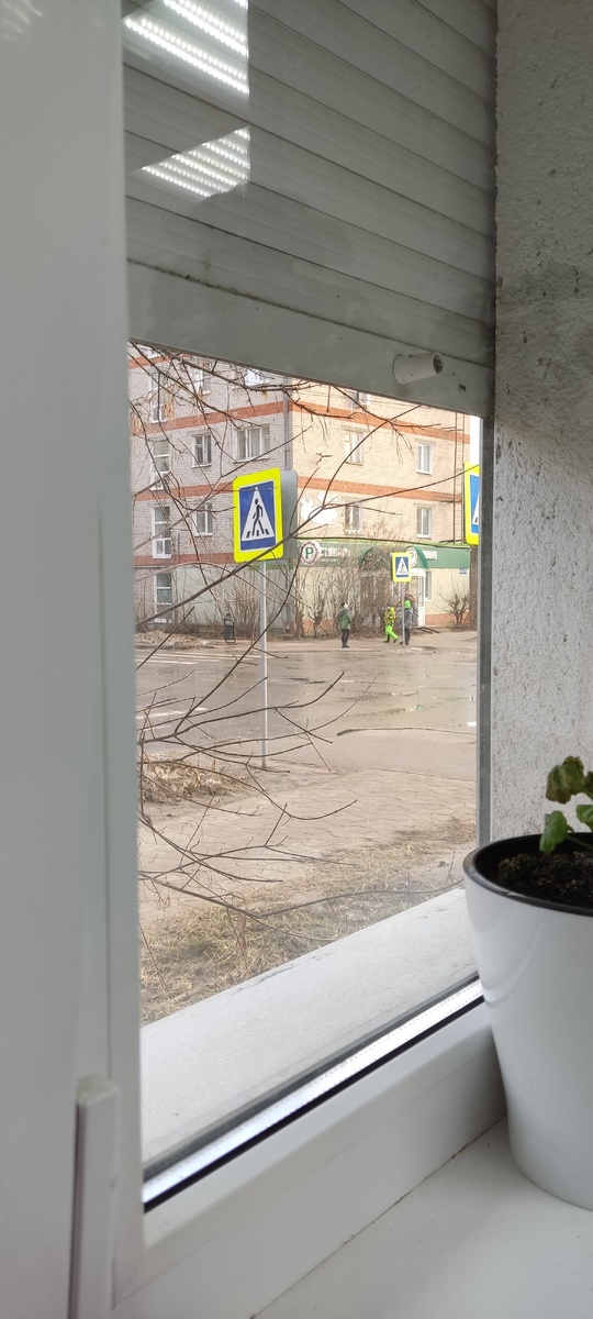 Фото для обложки 