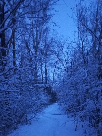 Тропинка к электричке ❄️