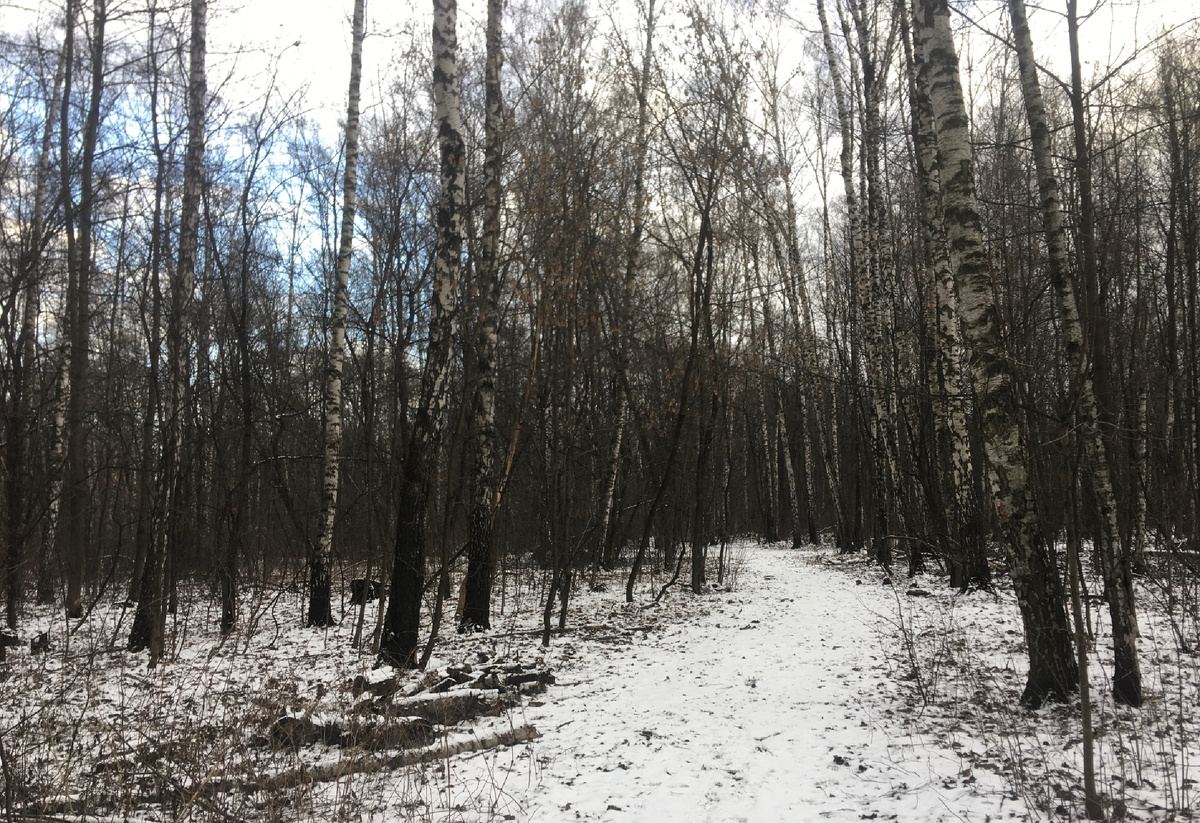 Снега чуть-чуть