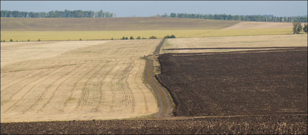 На первом кадре велосипедист все еще присутствует, а дальше только простор полей