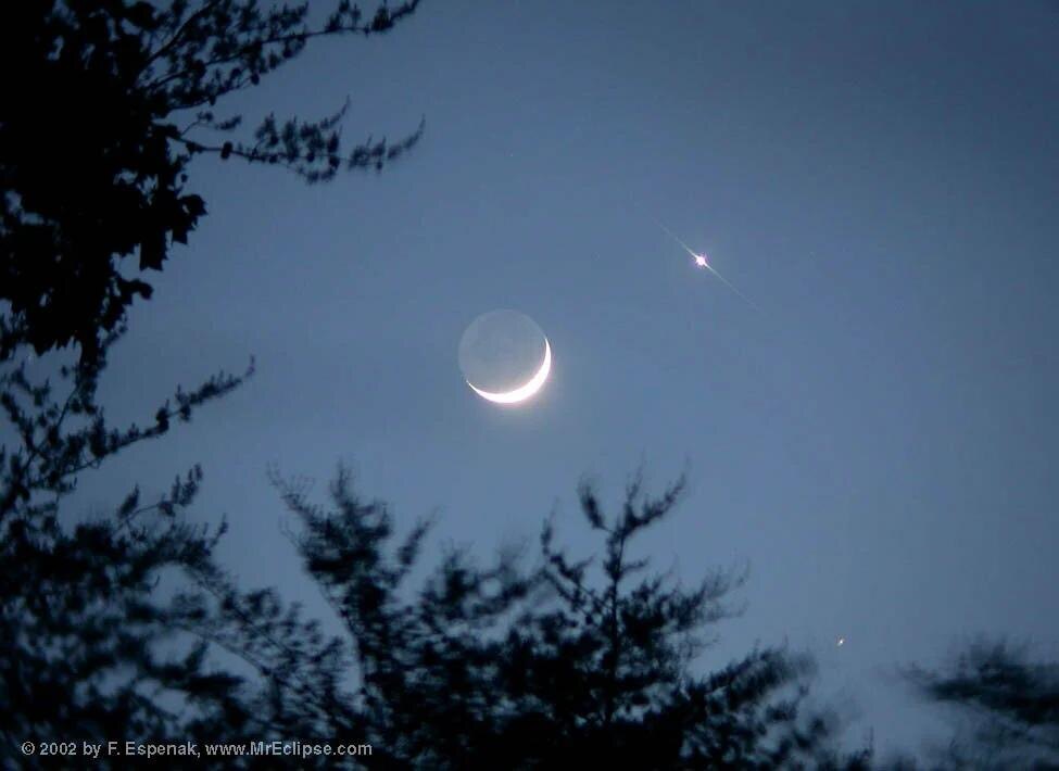 Вот она Венера