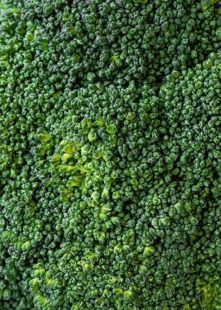 Вертикальное озеленение в саду