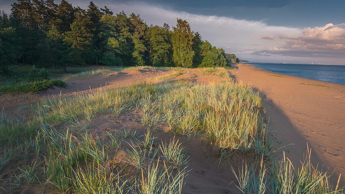    Фото: wikipedia.org