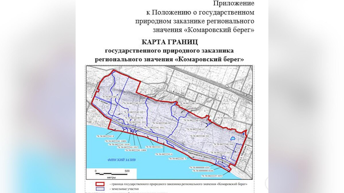    Фото: Правительство Санкт-Петербурга