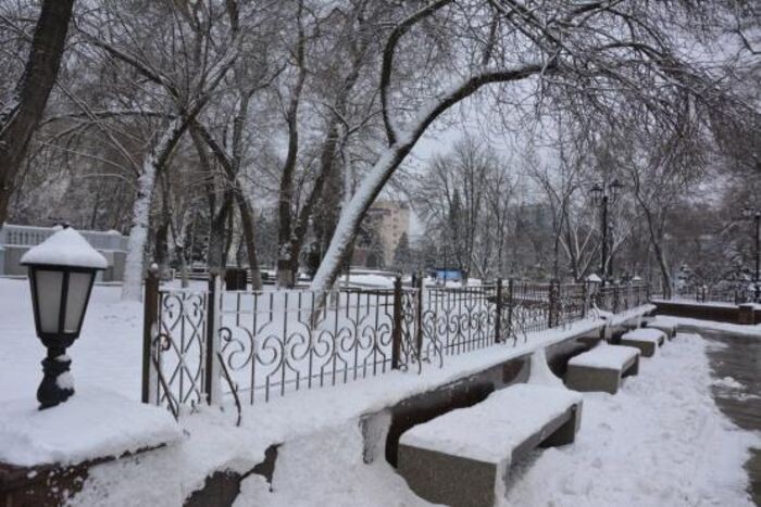 Источник фото: © «Панорама»