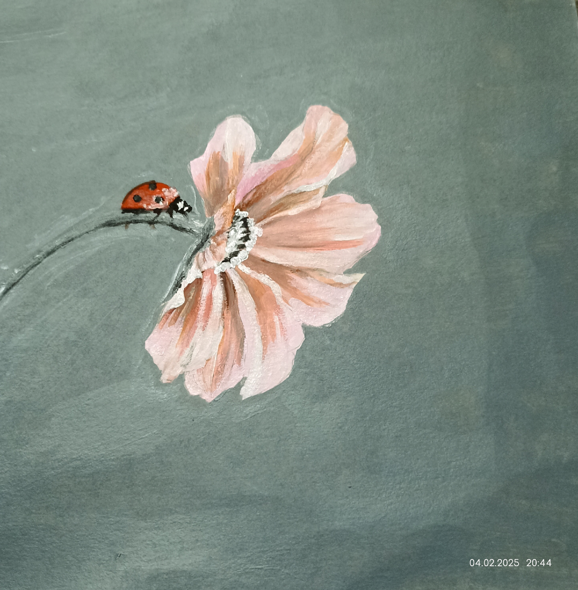 Красивая божья коровка и цветочек, космея.