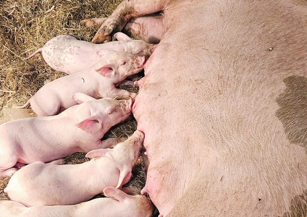    Фото: news.ru Георгий