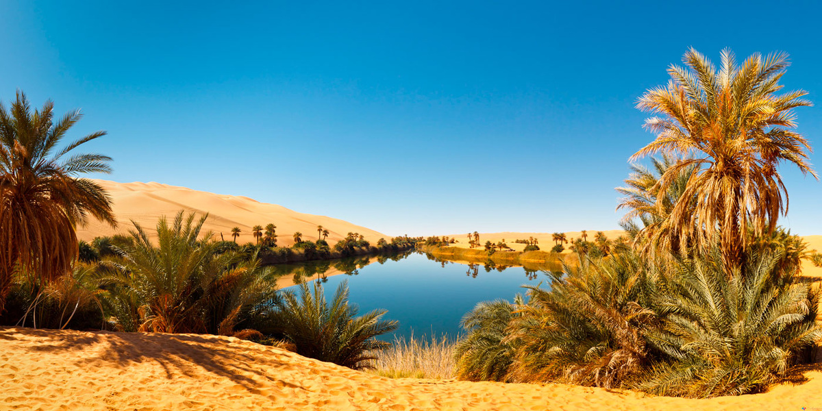 Оазисы — не просто «лужицы в песке».