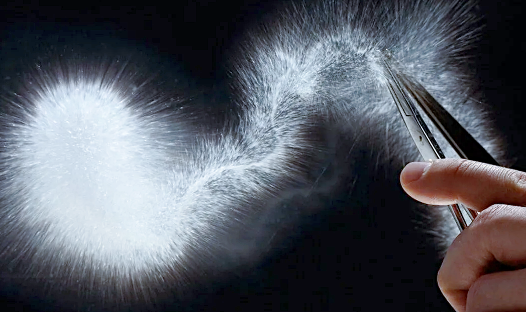 Если у слезы отломить хвост, то она мгновенно распадается на тысячи осколков. Снимок: techinsider.ru