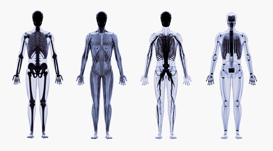 Источник фото: nplus1.ru